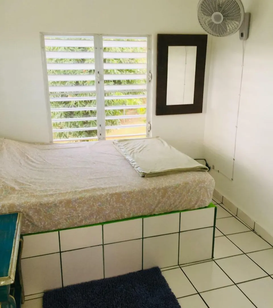 Casa Del Parque Guesthouse Vieques Puerto Rico